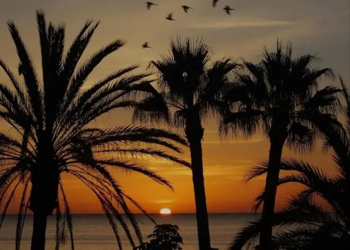 Lägenhet Bonito Estudio Carihuela Con Terraza, Wifi, Playa A 150 Metros