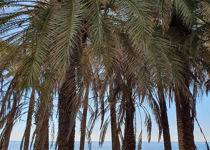 Apartamento Bonito Estudio Carihuela Con Terraza, Wifi, Playa A 150 Metros Torremolinos